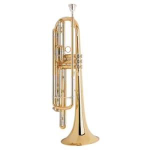 Musical Instrument
