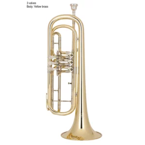 Musical Instrument