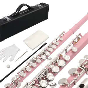 Arena Pro silver flute
