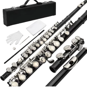 flute instrument price