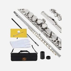 Arena Pro 16-Key Flute