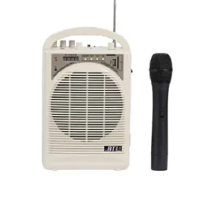SE730 Portable mic