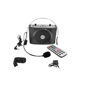 mic