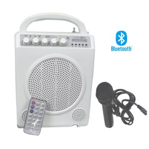 Portable Pa System