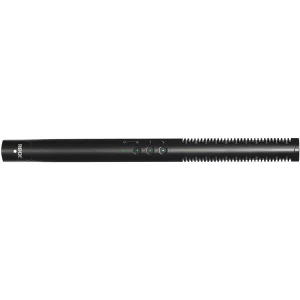 Mic
