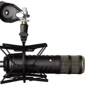 Microphone