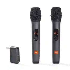 Wireless Microphone Set