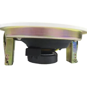 Ceiling Speaker