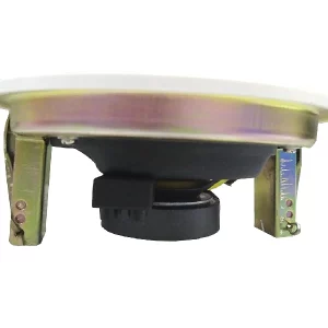 Ahuja Ceiling Speaker