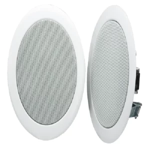 JBL commercial speakers