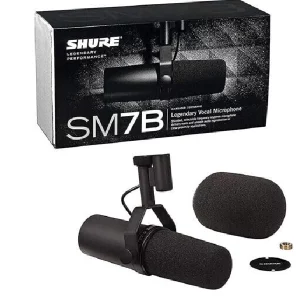 Microphone