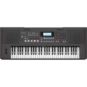 ROLAND E-X50 61 key Arranger