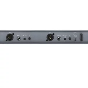 Wireless Mic