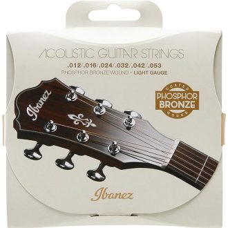 Ibanez ICLS6NT
