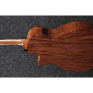 AEG200-LGS Electric