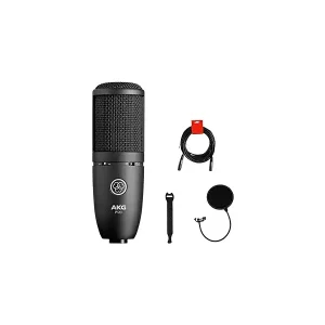AKG P120 Cardioid