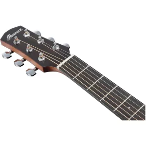 Acoustic-electric Guitar