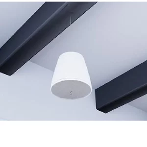 Bose