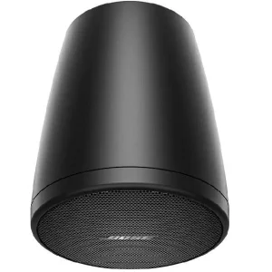 BOSE Pendant Speaker FS2P