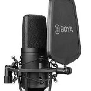 Professional Studio Microphone