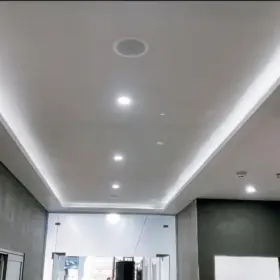 Bose FS2C ceiling speakers online store Kenya