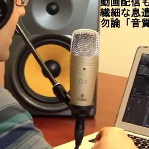 Behringer C-1 Condenser Microphone