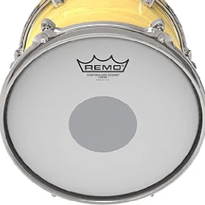 10 inch Remo