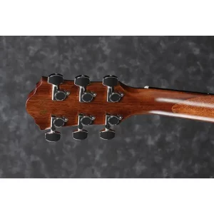 Electric Acoustic