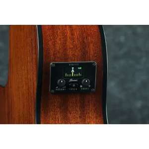 Electric Acoustic Guitar