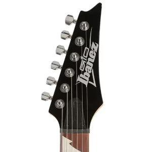 Electric Guitar