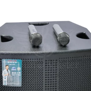 LANGTING GD 15-41 powered speaker