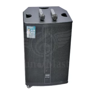 LANGTING GD 15 41 Powered Speakers