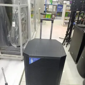HAMERSH QX15-60 speaker with amplifier