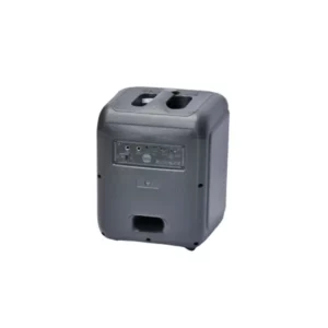 ISA BS 12 speaker