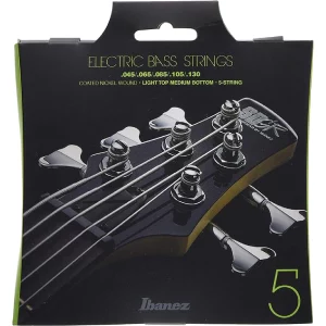 Ibanez 5 Bass