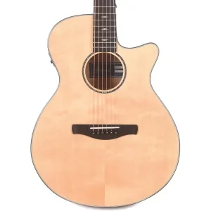 Ibanez AEG200-LGS Electric