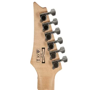 Ibanez Electric Guitar