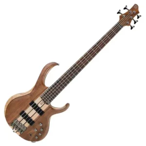JB Electric 5 String Bass Guitar