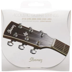 IACS6C Acoustic Guitar
