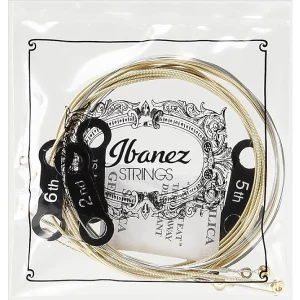 Ibanez