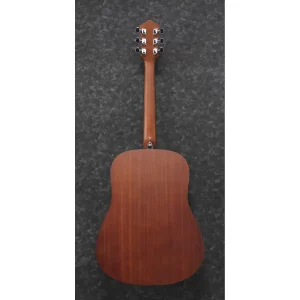 Ibanez V54NJP-OPN