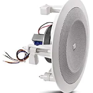 Ceiling Speaker