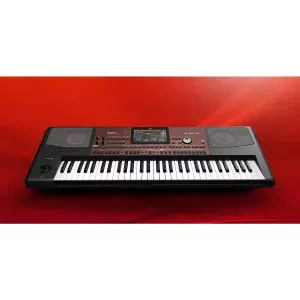 Korg PA700 Professional Keyboard