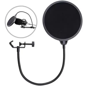 Microphone accessory