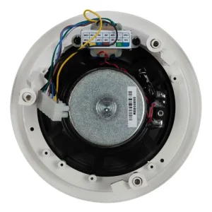 Ceiling Speaker