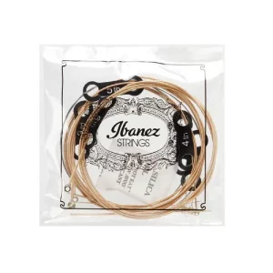 Phosphor Bronze