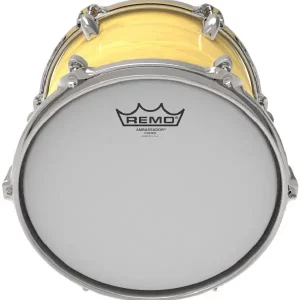 Coated Drumhead