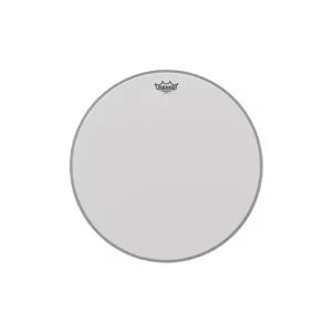Remo Ambassador