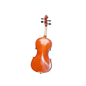 Golden finish violin