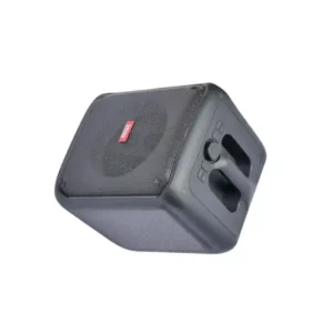 amplifier and mic